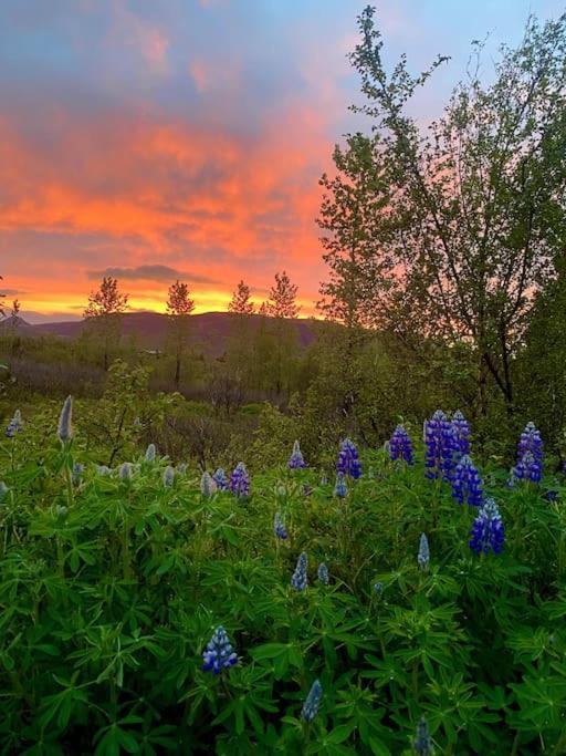 Luxury Cottage Located In The Golden Circle, Mountain View! Laugarvatn Buitenkant foto